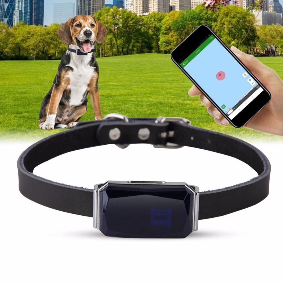 can you get a gps tracker for your dog