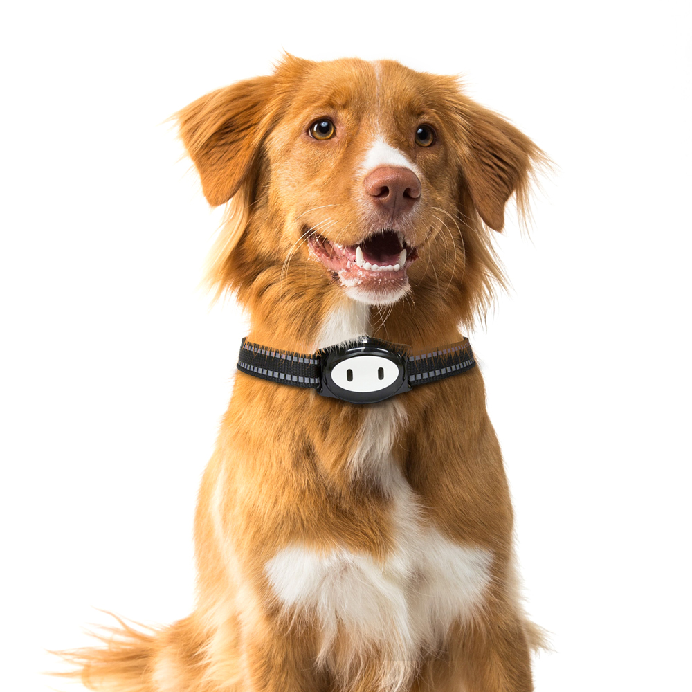 what is the best dog tracker